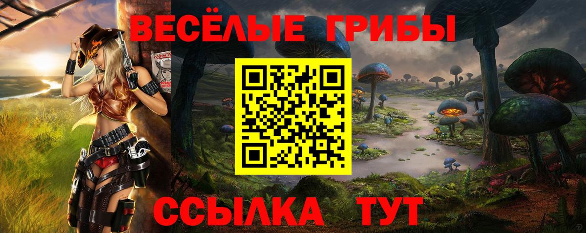Галлюциногенные грибы MAGIC MUSHROOMS Ейск