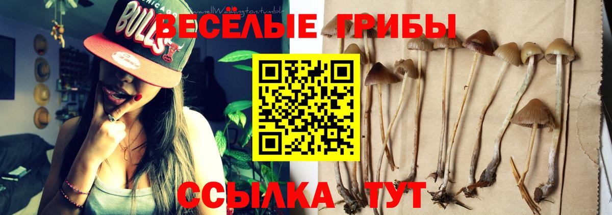 Галлюциногенные грибы Psilocybe  Вход с VPN  Галлюциногенные грибы GOLDEN TEACHER  Ейск 